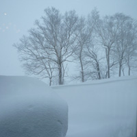 雪景色